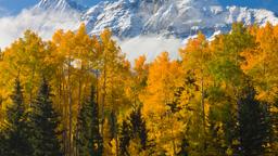 特柳赖德 Telluride地区机场附近的酒店
