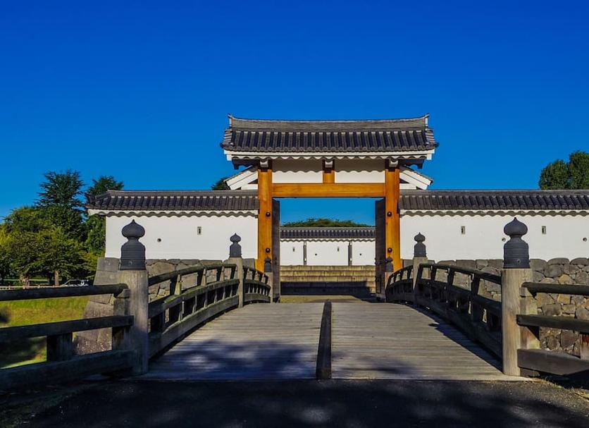 其他： 照片