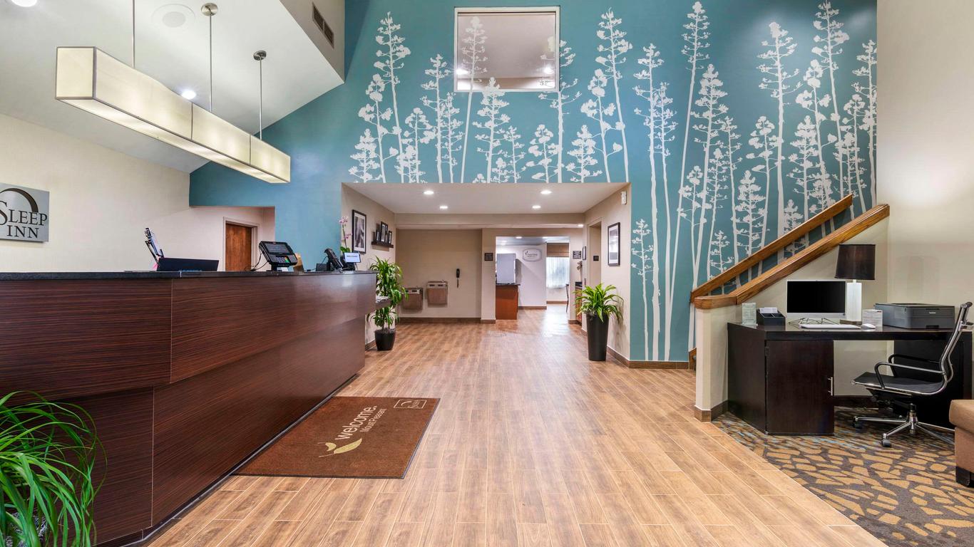 芒特普莱森特司丽普酒店 - 查尔斯顿
