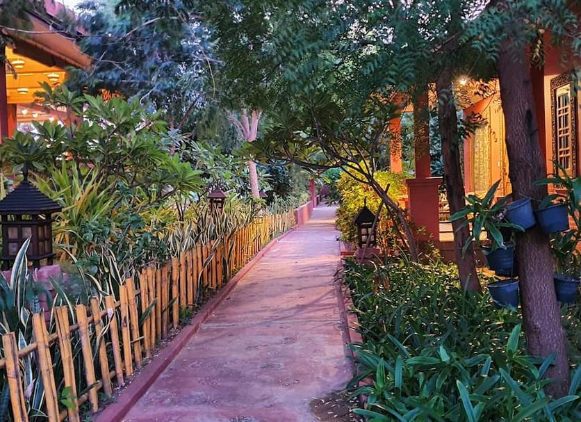 户外景观 照片