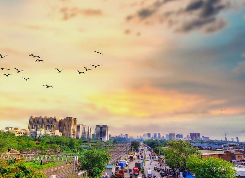 户外景观 照片