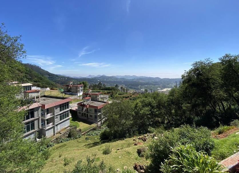 户外景观 照片