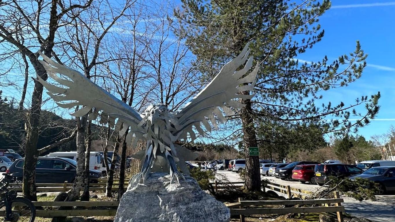 尼维斯山庄基地营酒店