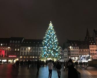 Small cozy nest in the heart of Strasbourg! - 斯特拉斯堡 - 户外景观