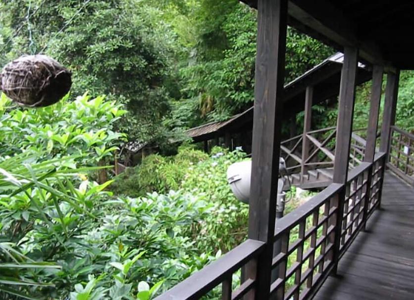 阳台 照片