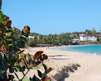 An Affordable Caribbean Gem To Enjoy Your Special Holiday On Antigua - 圣约翰市 - 海滩