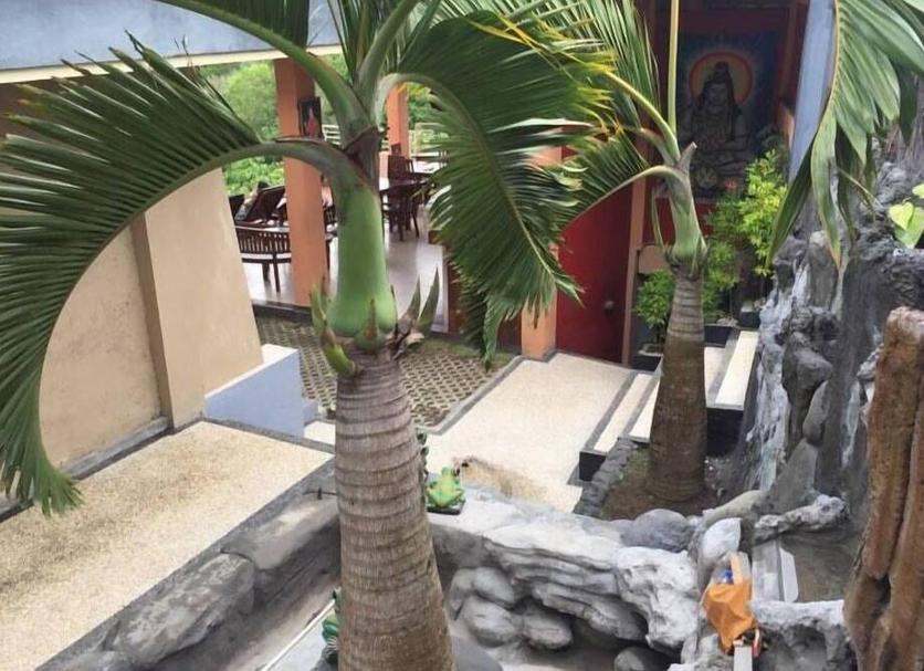 户外景观 照片