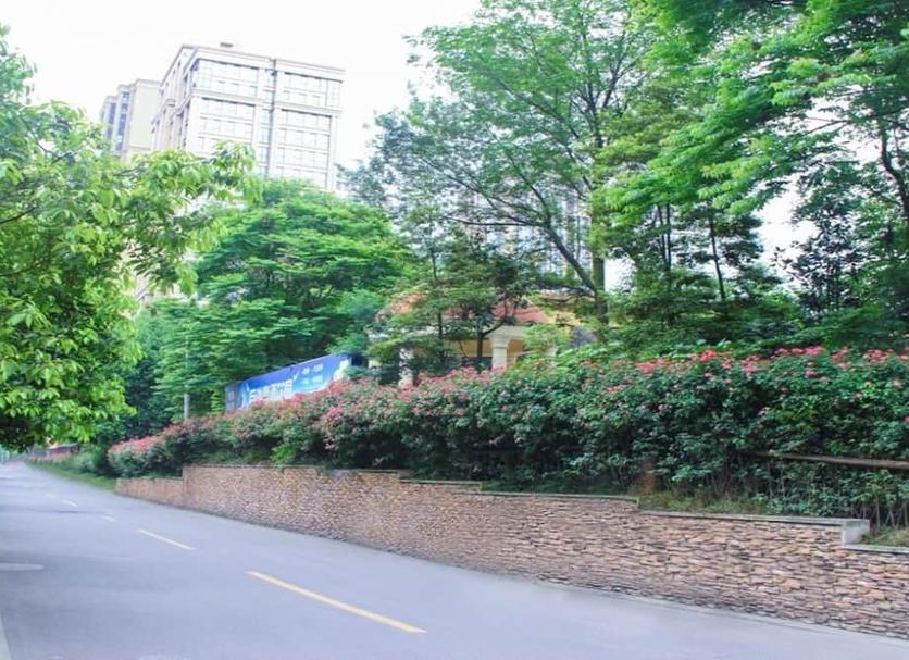 户外景观 照片