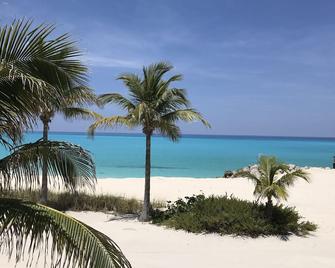 Bimini Cove Resort And Marina, Located At South Bimini, Bahamas. - Port Royal - 海滩