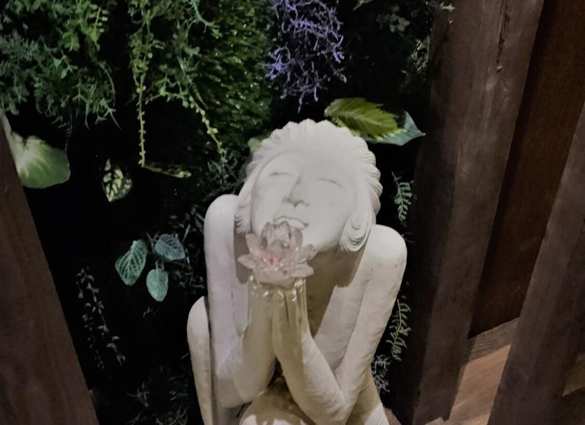 其他： 照片
