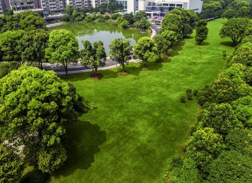 户外景观 照片