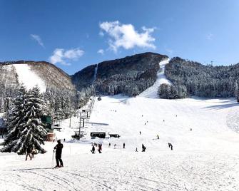 施海尔旅馆 - 野泽温泉村 - 住宿设施