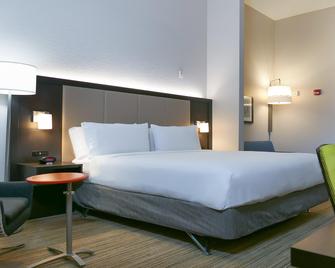 圣彼德堡北 (I-275) 智选假日酒店 - IHG 旗下酒店 - 圣彼得堡 - 睡房