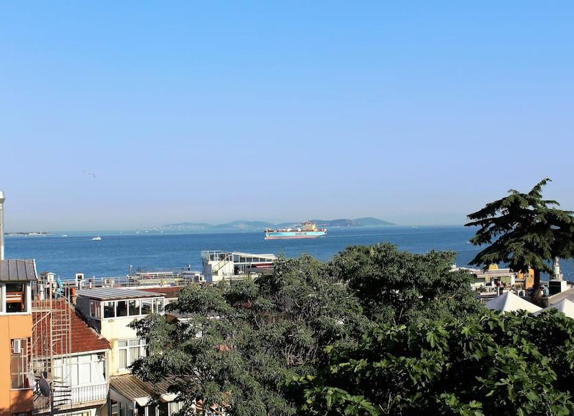 户外景观 照片