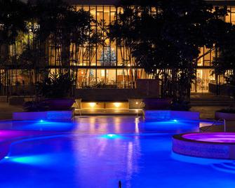 特立尼达希尔顿会议酒店 - 西班牙港 - 游泳池