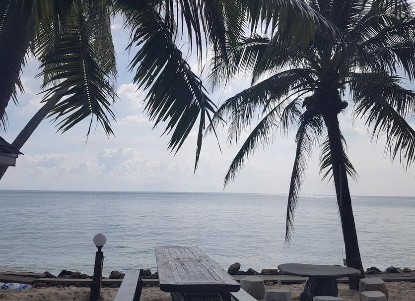 海滩 照片