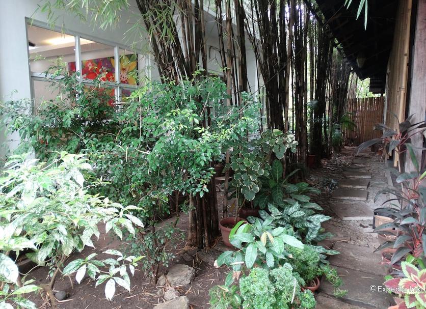 户外景观 照片