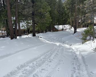 Sequoia Forest Cabin—Lake & River—Ski, Raft, Hike, Bike and More - Wofford Heights - 户外景观
