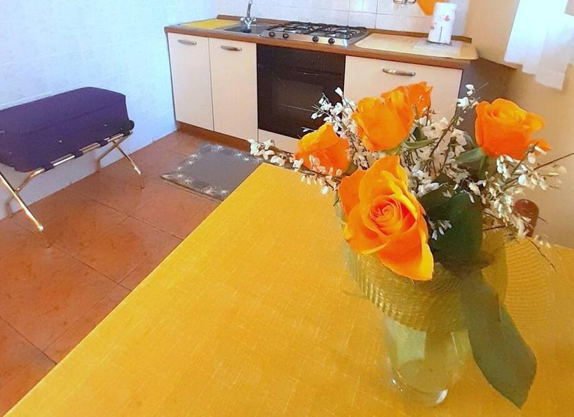 其他： 照片