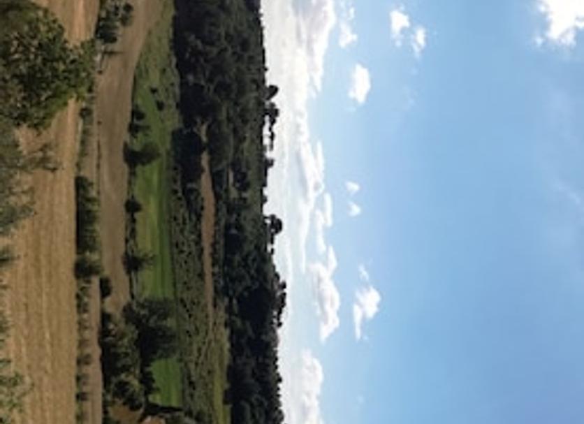 户外景观 照片