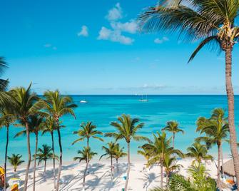 阿鲁巴岛度假村 - 海滩度假酒店及赌场 - 棕榈滩 - 海滩