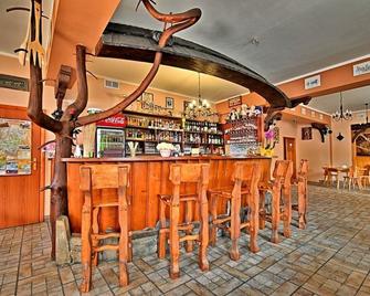 萨哈兹德特雷穆尔卡酒店 - 波罗宁 - 酒吧