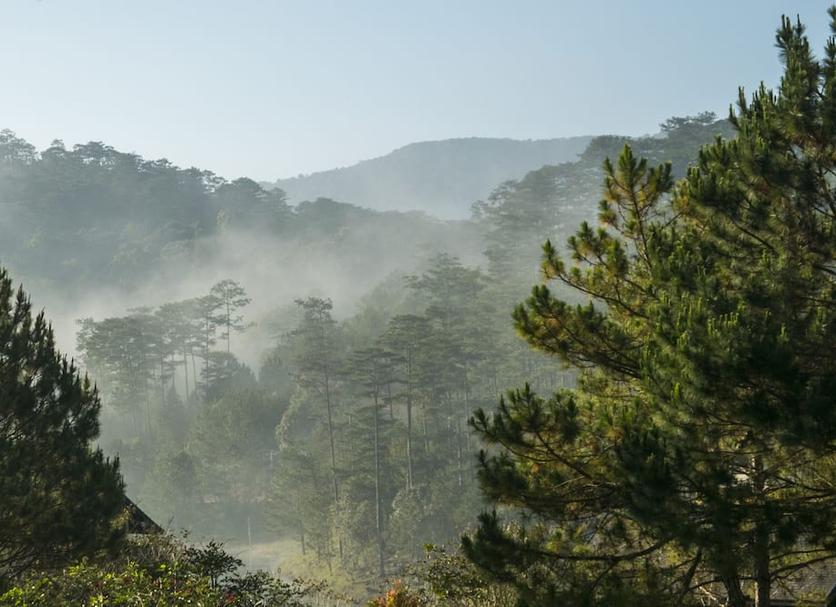 户外景观 照片