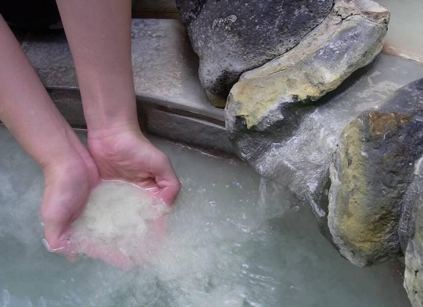 其他： 照片