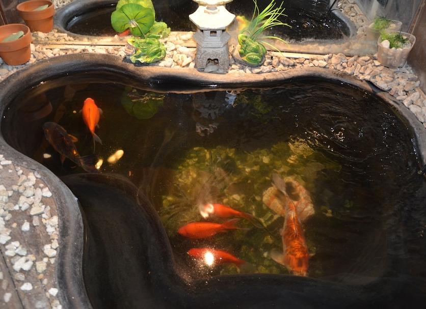其他： 照片