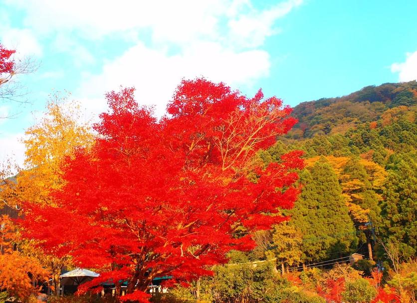 户外景观 照片