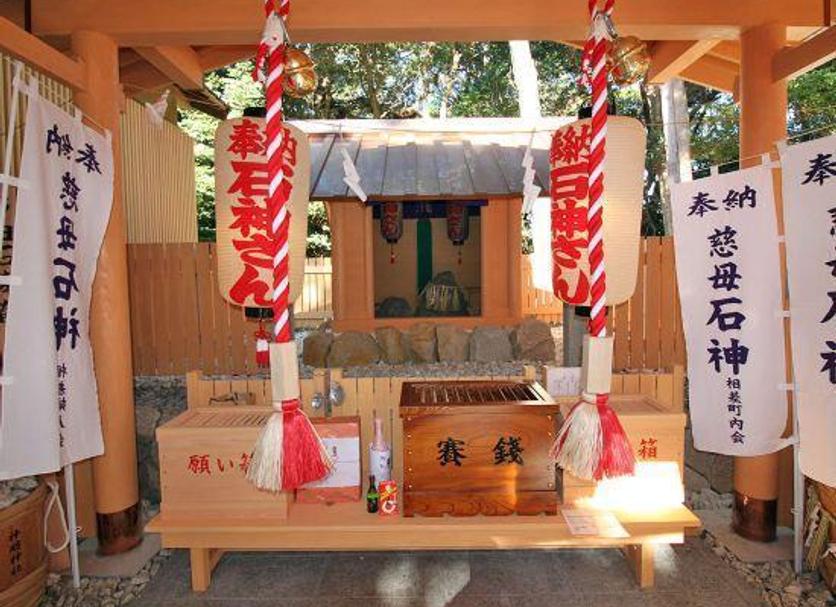 其他： 照片