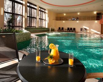 艾克塞西尔酒店 - 玛丽亚温泉市 - 游泳池