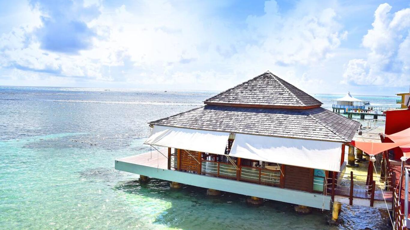 海豚式酒店