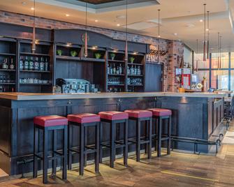 新西伯利亚丽笙公园酒店 - 新西伯利亚 - 酒吧
