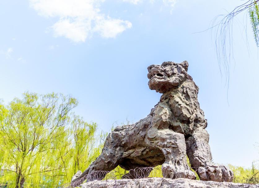 其他： 照片