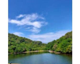 Lush 3-Bedroom/3-Bathroom Villa with Private Pool - 博维 - 户外景观