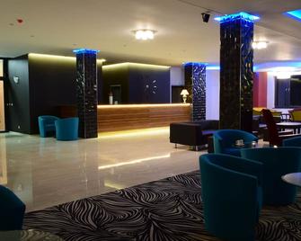 卡尔斯巴德公园酒店 - 卡罗维发利 - 柜台