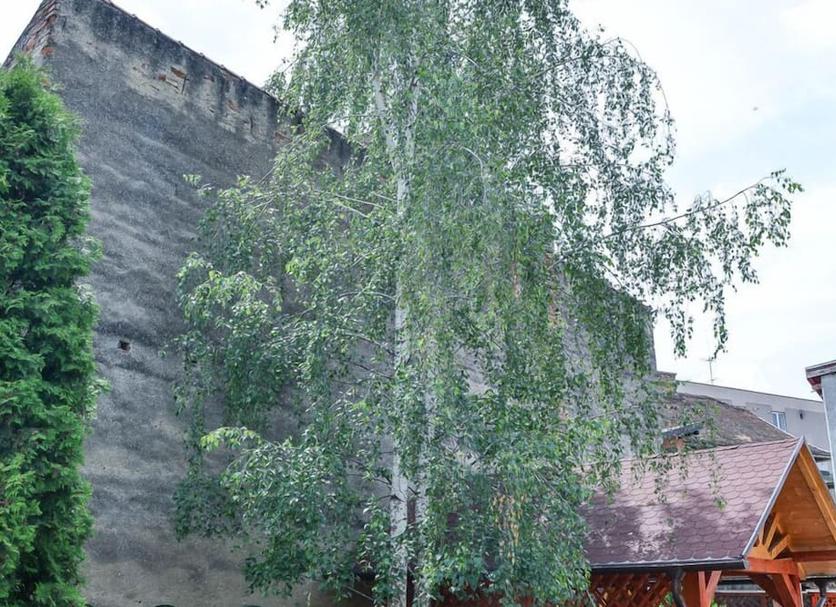 户外景观 照片