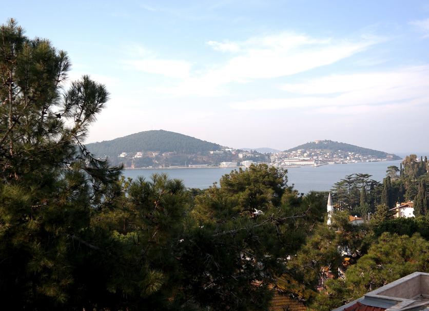 户外景观 照片