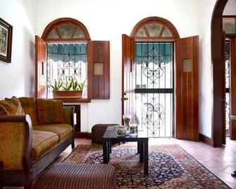 Tagra Colonial House - 圣多明各 - 客厅