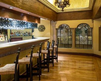 阿瓜斯卡连特斯金塔实酒店 - 阿瓜斯卡连特斯 - 酒吧
