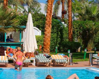 法尔肯山丘酒店 - 沙姆沙伊赫 - 游泳池