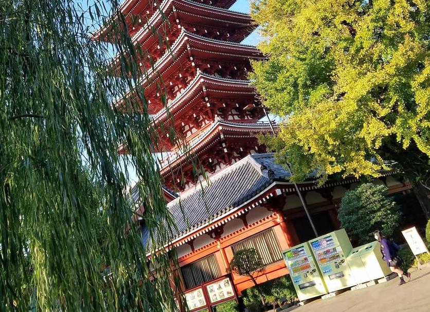 建筑 照片