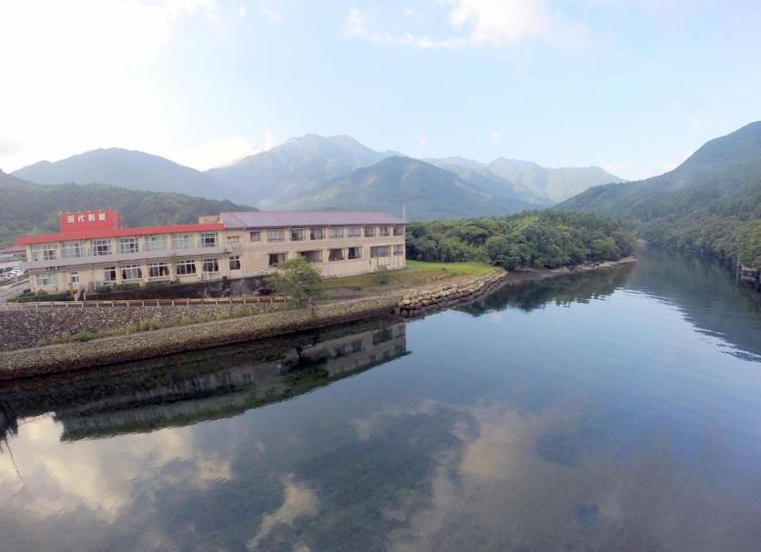 户外景观 照片