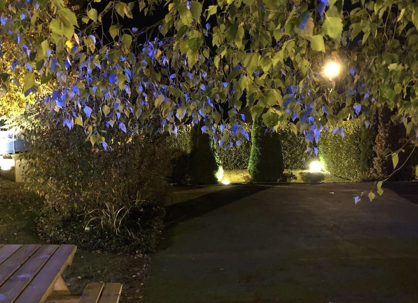 户外景观 照片