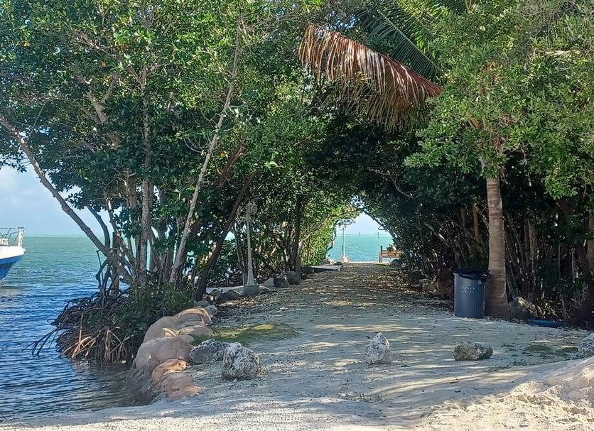 户外景观 照片