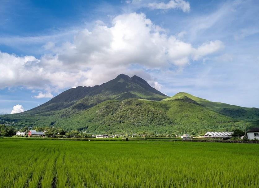户外景观 照片