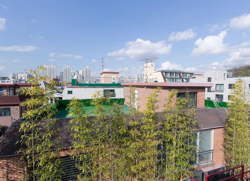 户外景观 照片