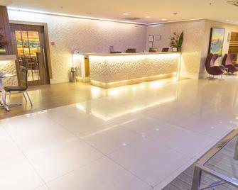 大西洋里奥格兰德河酒店 - 里约热内卢 - 柜台