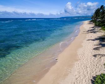Contemporary Hawaii Living, Calm North Shore Beach - 怀阿鲁阿 - 海滩